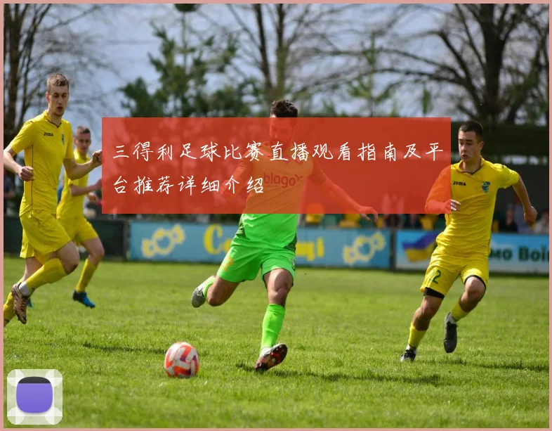 三得利足球比赛直播观看指南及平台推荐详细介绍