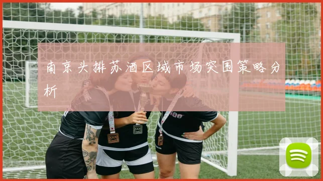 南京头排苏酒区域市场突围策略分析