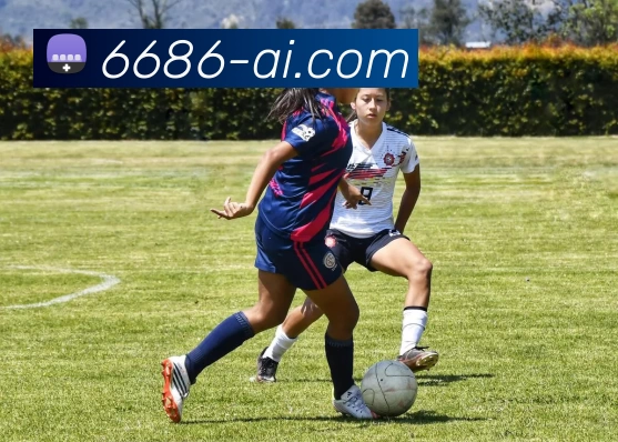 6686APP 高清赛事图